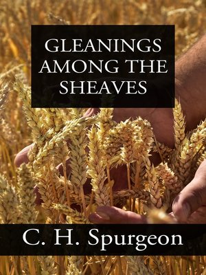 cover image of Gleanings Among the Sheaves